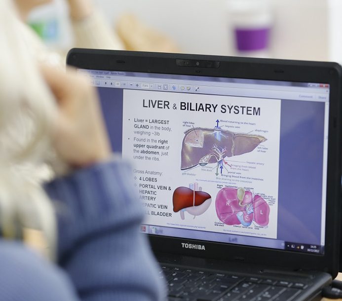 Anatomy and Physiology Online Course