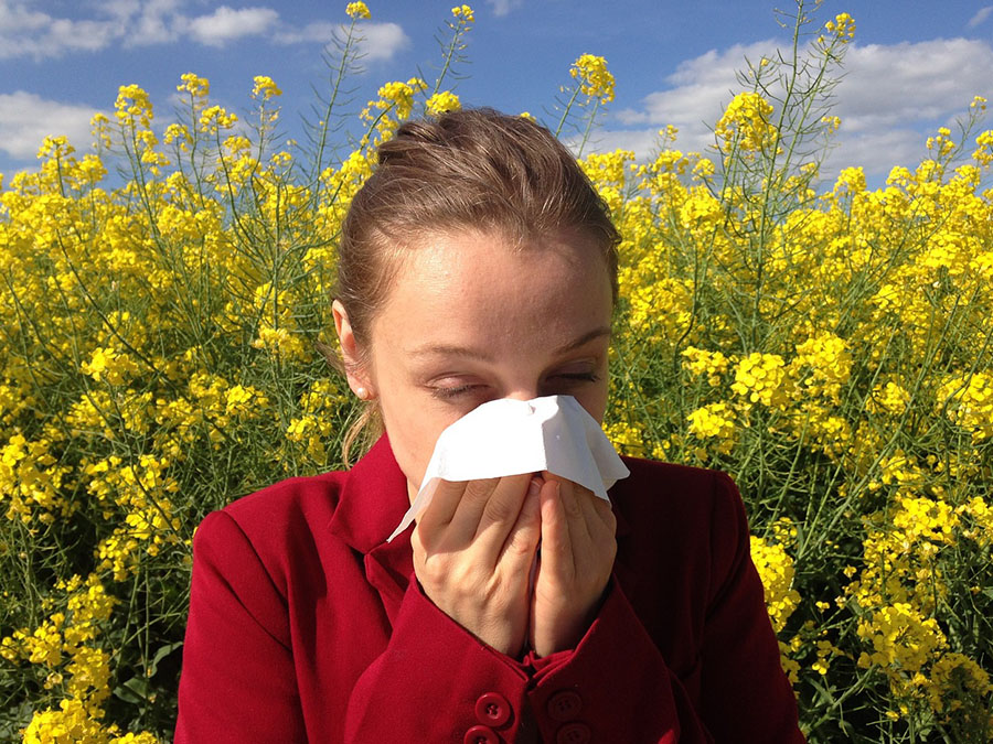 Simple Acupressure for Hay Fever