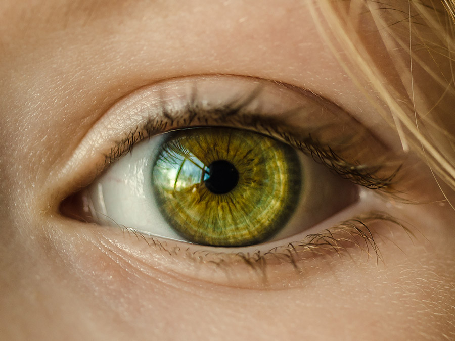 Herbal remedies for your eye health