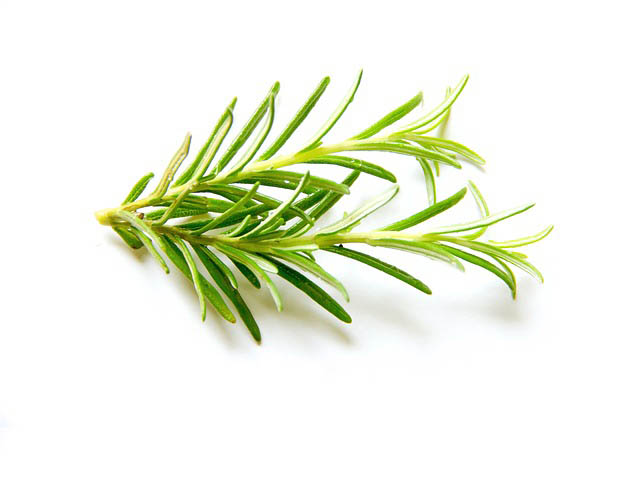 Rosemary benefits