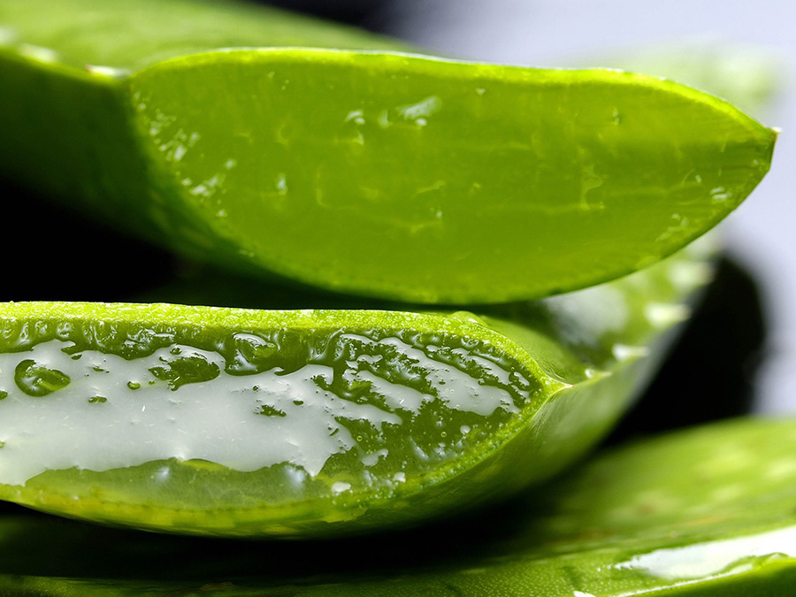 Benefits of aloe vera gel