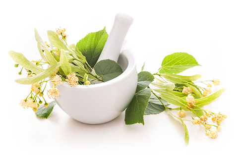 Herbal Remedies Online Course