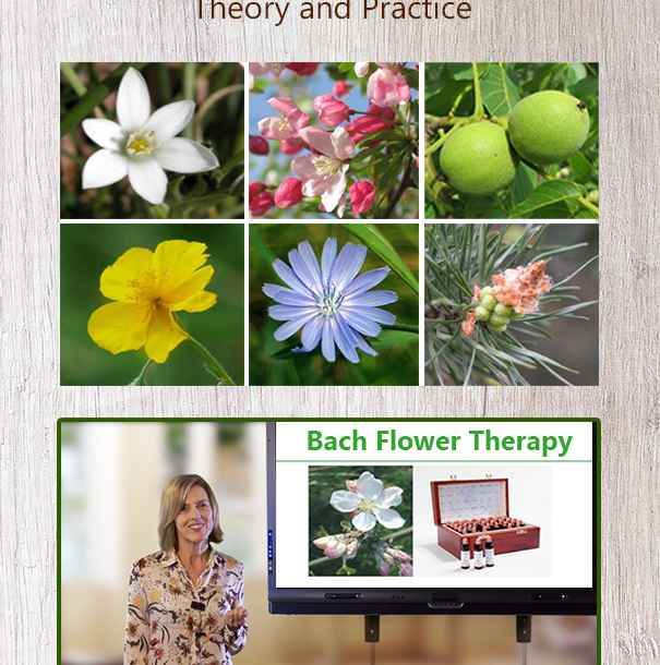 Bach Flower Therapy Online Course 605x789 American School of Natural