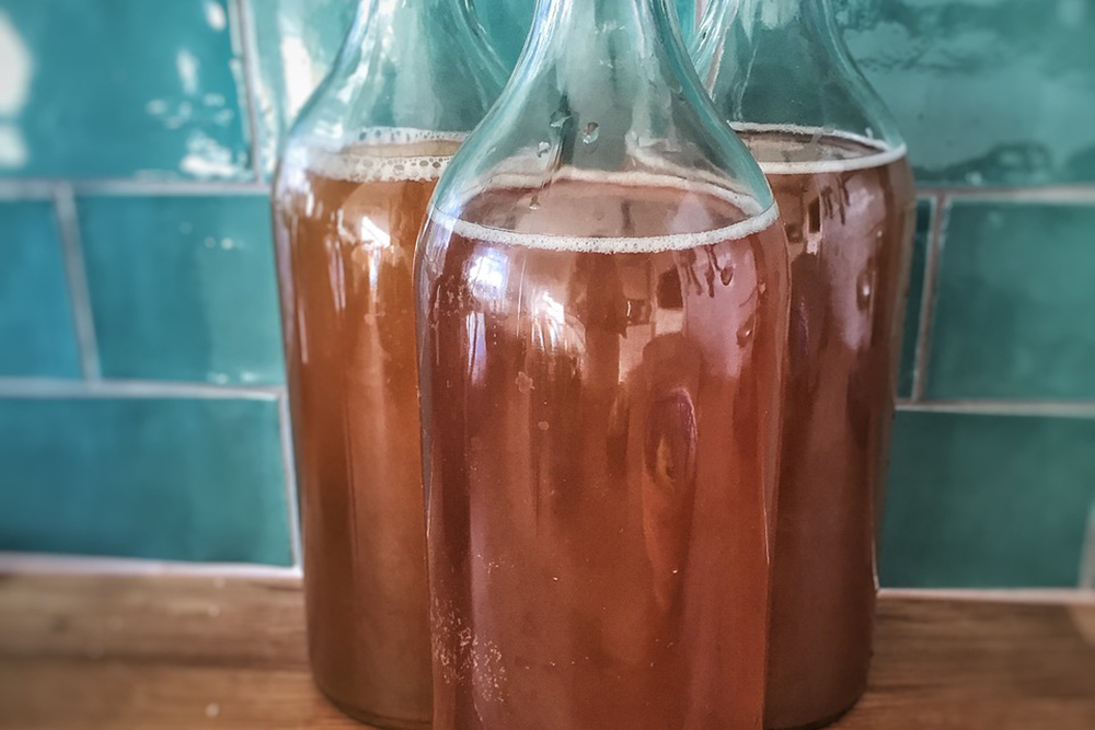 bottles of kombucha